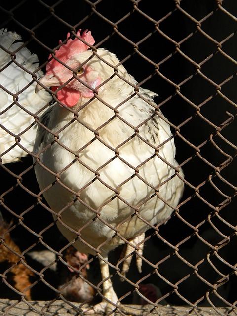 经验与实力 经验与实力