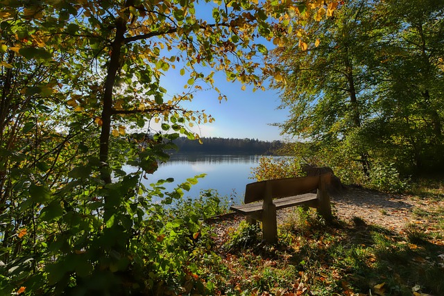 主场保持过 主场保持过
