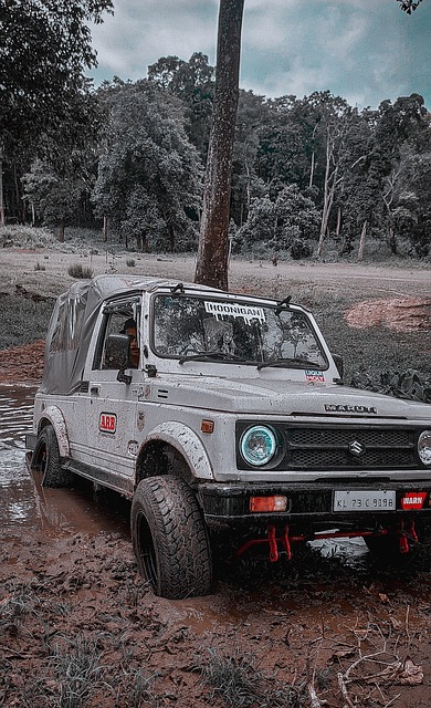 场未来希望 场未来希望