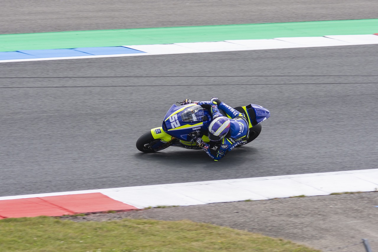 引入新鲜血 引入新鲜血